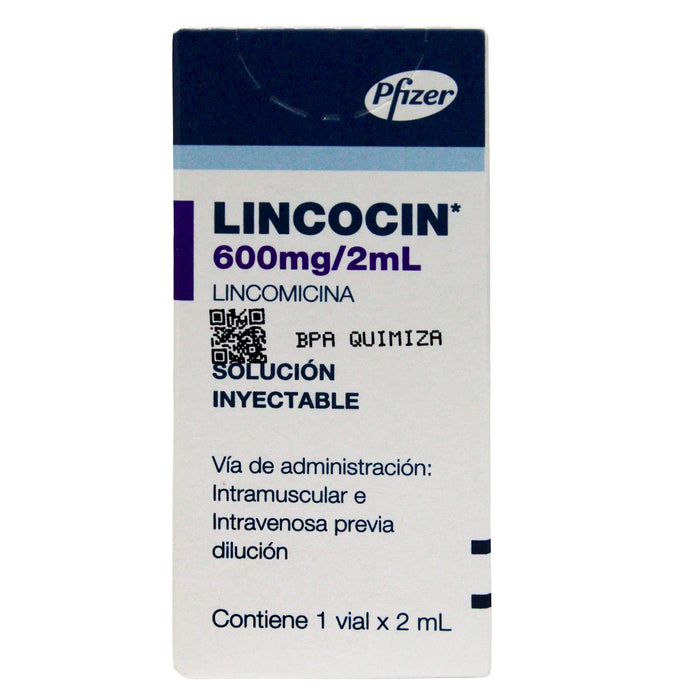 Lincocin Lincomicina 600Mg Y 2Ml X Ampolla