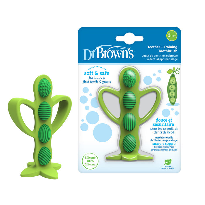 Mordedor Dr Browns Cepillo De Dientes Cactus