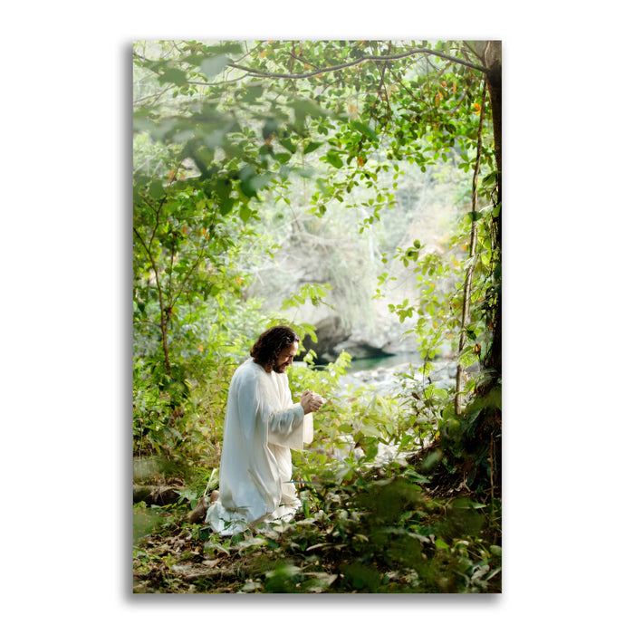 Jesus Christ praying in the grove. 'My Joy is Full' realistic Christian wall art on metal by Reflections of Christ.