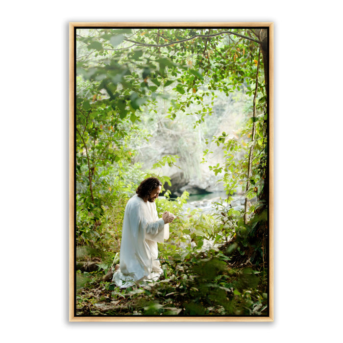 Jesus Christ praying in the grove. 'My Joy is Full' realistic Christian wall art on metal with gold frame by Reflections of Christ.