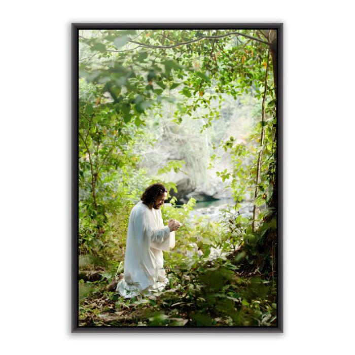 Jesus Christ praying in the grove. 'My Joy is Full' realistic Christian wall art on metal with black frame by Reflections of Christ.