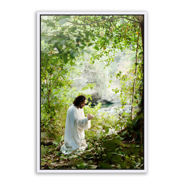 Jesus Christ praying in the grove. 'My Joy is Full' realistic Christian wall art on metal with white frame by Reflections of Christ.