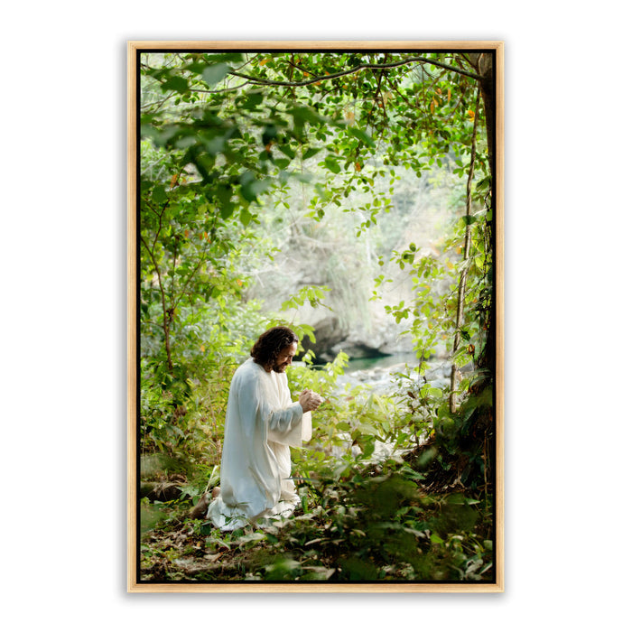 Jesus Christ praying in the grove. 'My Joy is Full' realistic Christian wall art on canvas with gold frame by Reflections of Christ.