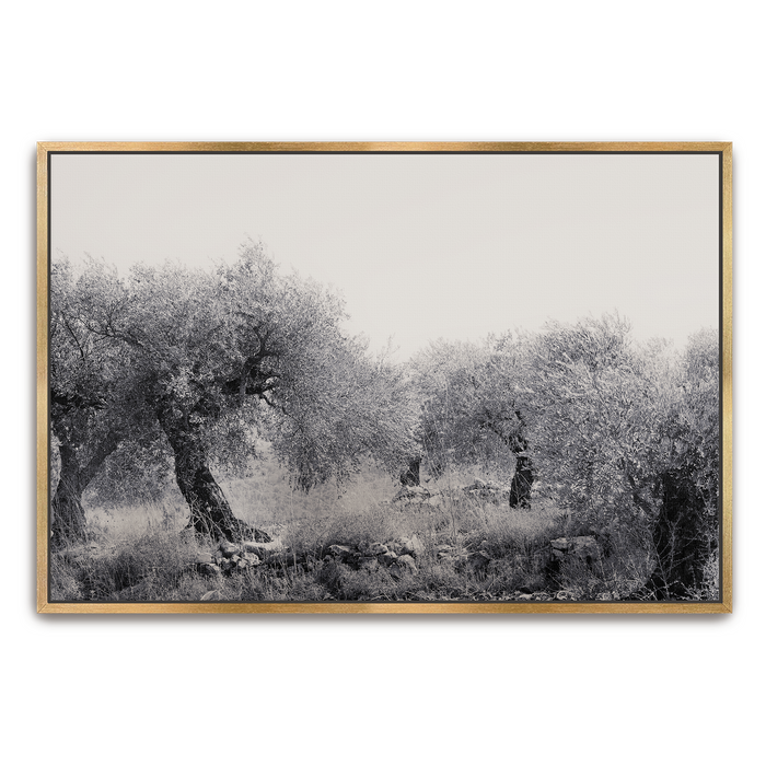 Framed Canvas / 8X10 / Thin Gold