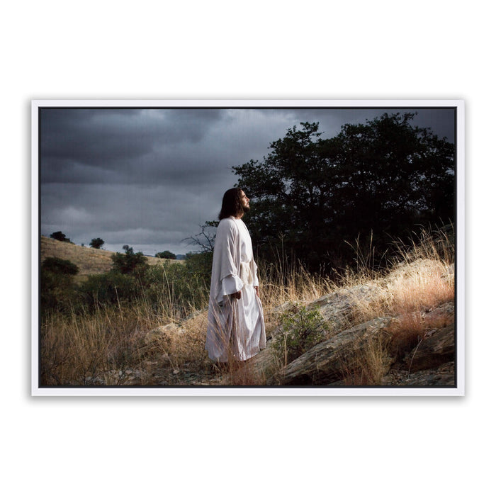 Framed Canvas / 10X8 / Thin White