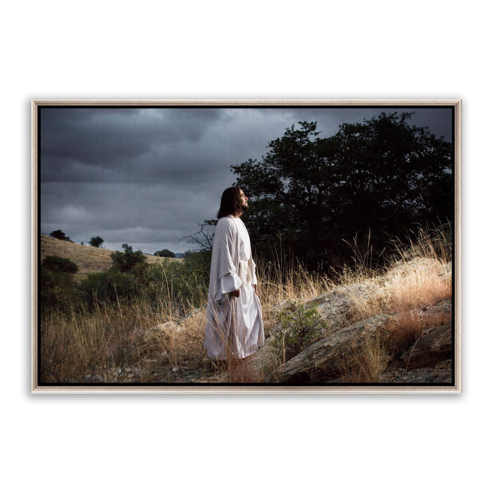 Framed Canvas / 10X8 / Thin Silver