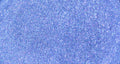 SOLID PEARL <br />Blown Out Blu