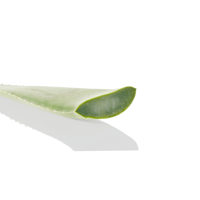 Toallitas Desmaquillantes Byphasse Aloe Vera X 40 Unidades